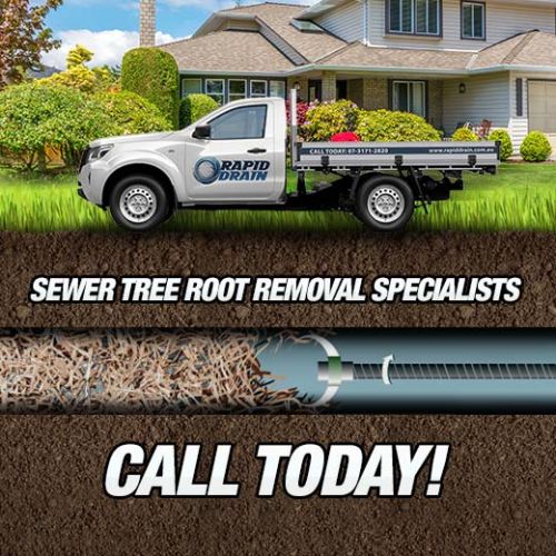 Sewer Tree Root Removal Specialists In Deception Bay